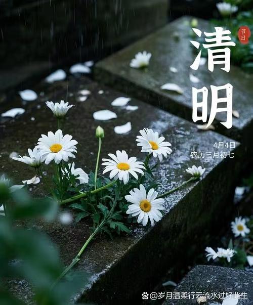 微信图片_20260407092600_947_2.jpg 微信图片_20260407092600_947_2.jpg